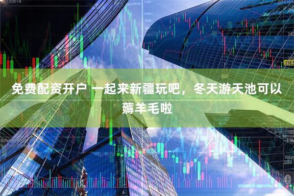 免费配资开户 一起来新疆玩吧，冬天游天池可以薅羊毛啦