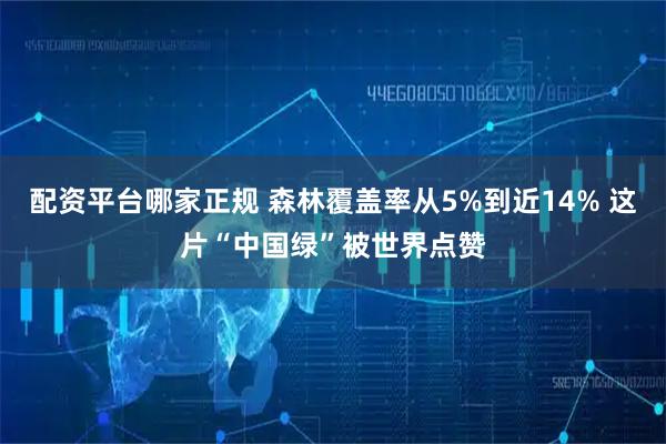 配资平台哪家正规 森林覆盖率从5%到近14% 这片“中国绿”被世界点赞