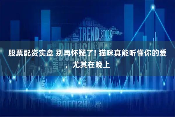 股票配资实盘 别再怀疑了! 猫咪真能听懂你的爱，尤其在晚上